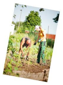 Blocklandgarten